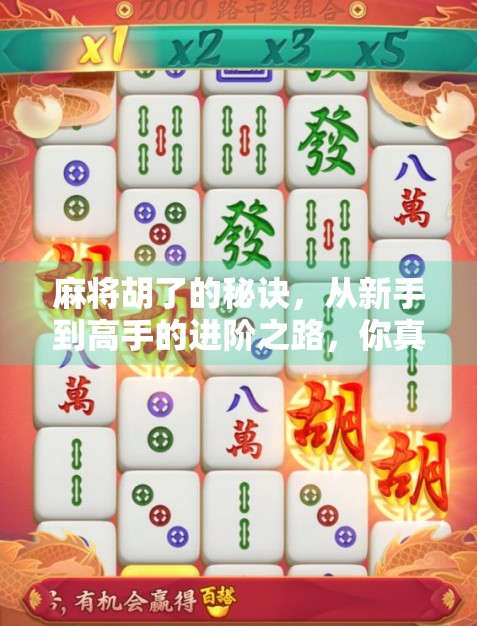 麻将胡了的秘诀，从新手到高手的进阶之路，你真的懂胡吗？